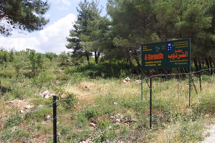 Programme sous-r&eacute;gional de lutte contre la d&eacute;sertification en Asie occidentale (PASR) r&eacute;habilitation des parcours d&eacute;grad&eacute;s