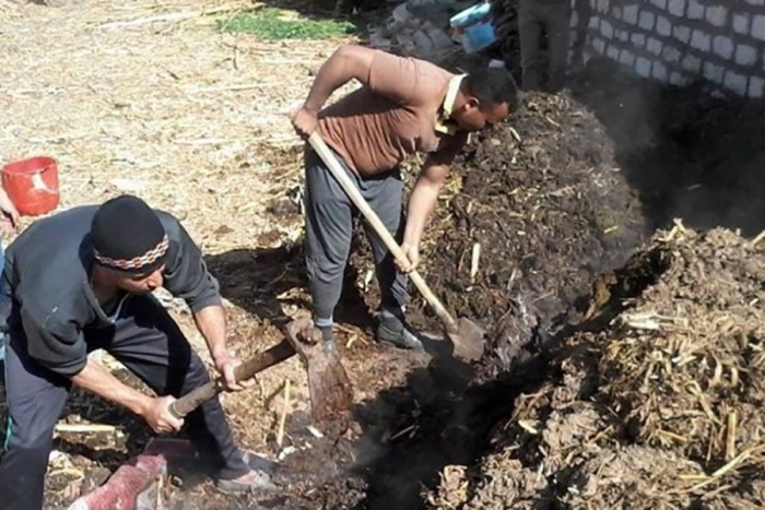 &Eacute;limination s&ucirc;re des d&eacute;chets agricoles en &Eacute;gypte