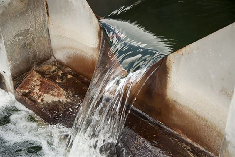 The pioneer project to utilizing Triple -Treated Wastewater in Fodders Production
