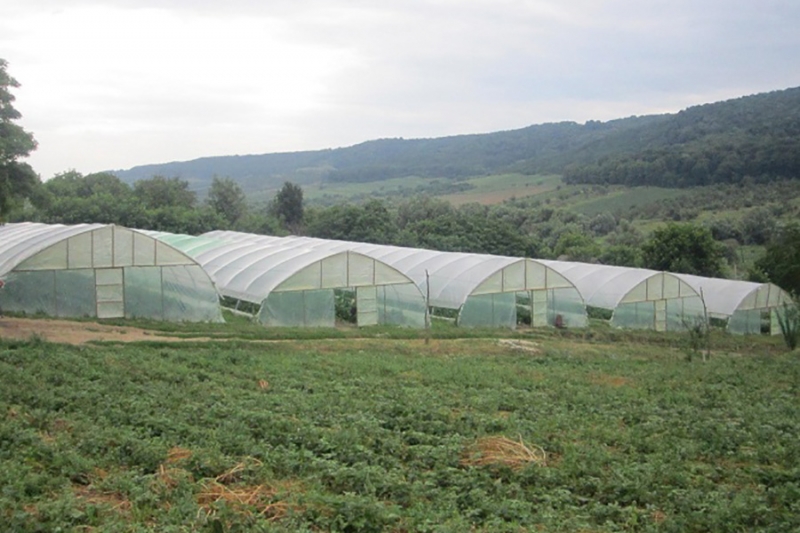 Passage à l&amp;#39;agriculture de conservation pour renforcer la résilience aux changements climatiques