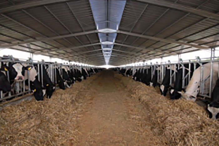 Le syst&egrave;me national d&amp;#39;identification et de tra&ccedil;abilit&eacute; des animaux (SNIT)