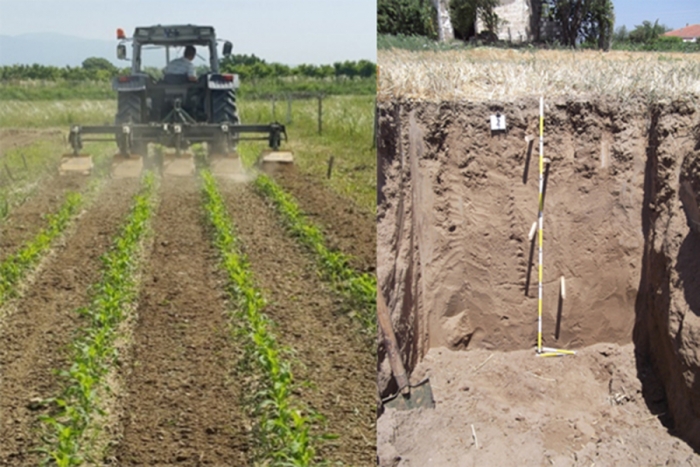 ГЧП в сельском хозяйстве: Главное управление сельскохозяйственных исследований и политики (TAGEM)