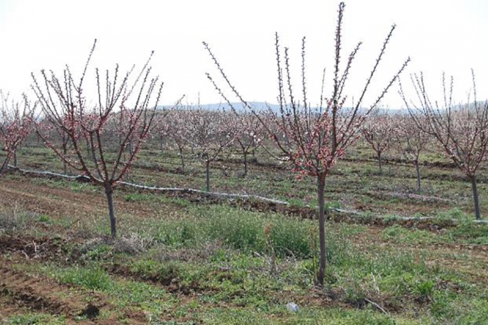 Trousse d'information en ligne pour l'acc&egrave;s au financement (Instrument d'aide de pr&eacute;adh&eacute;sion pour le d&eacute;veloppement rural (IPARD) en Mac&eacute;doine