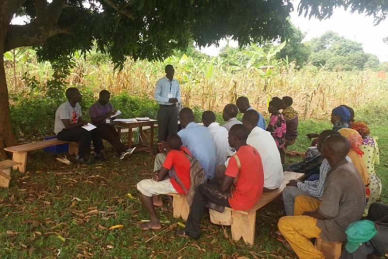 Scaling up of IFAD’s Rural Youth Employment Interventions in the NENA Region