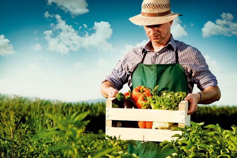 «Ecaeja» Фермеры и органические продукты питания в Беларуси
