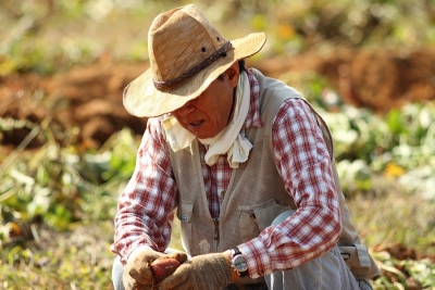 Organic Aimak in Kyrgyzstan