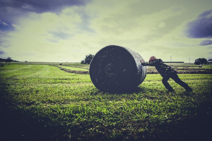 Enregistrement des exploitations familiales et accessibilit&eacute; du march&eacute; par des cha&icirc;nes d&amp;#39;approvisionnement alimentaire courtes