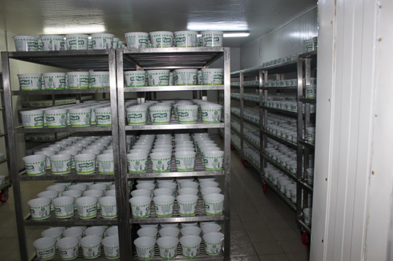 Agriculture biologique à Izmir, Turquie