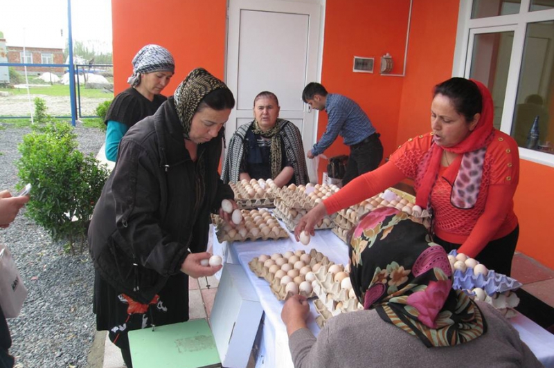 Projet d&amp;#39;investissement rural en Azerbaïdjan / AzRIP