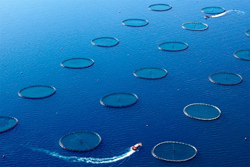 Solving aquaculture caused conflicts