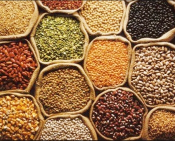 Укрепление потенциала для промышленного развития в Эфиопии - разработка стандартного коэффициента ввода-вывода для экспортного продукта Эфиопии