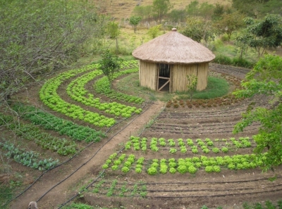Appui au développement du programme PAIS (Production Agroécologique Intégrée et Durable) au Sénégal