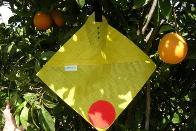 FreeDome by Biofeed: Fruit fly ‘Iron Dome’