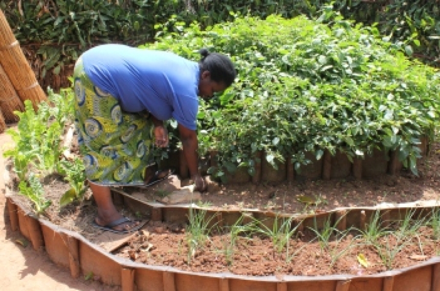 Making Development Effectiveness a reality in Rwanda