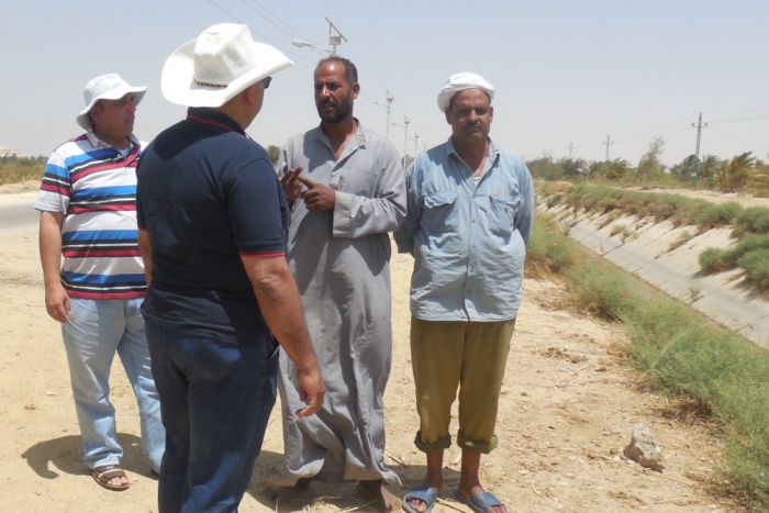 Le quinoa comme culture non traditionnelle prometteuse pour les terres marginales en &Eacute;gypte