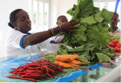 SDG Private Sector Mobilization – Labour Market System